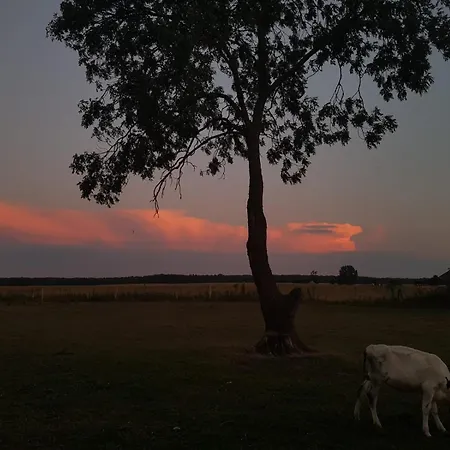 Luett Smedhoff - Dresden Guelzow