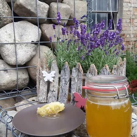 Luett Smedhoff - Dresden Lägenhet