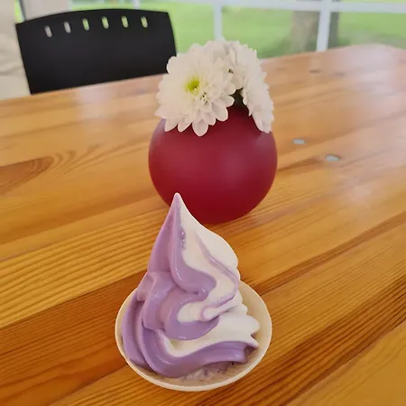 Luett Smedhoff - Dresden Lägenhet