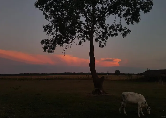 Luett Smedhoff - Dresden Guelzow