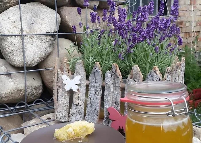 Luett Smedhoff - Dresden Apartment